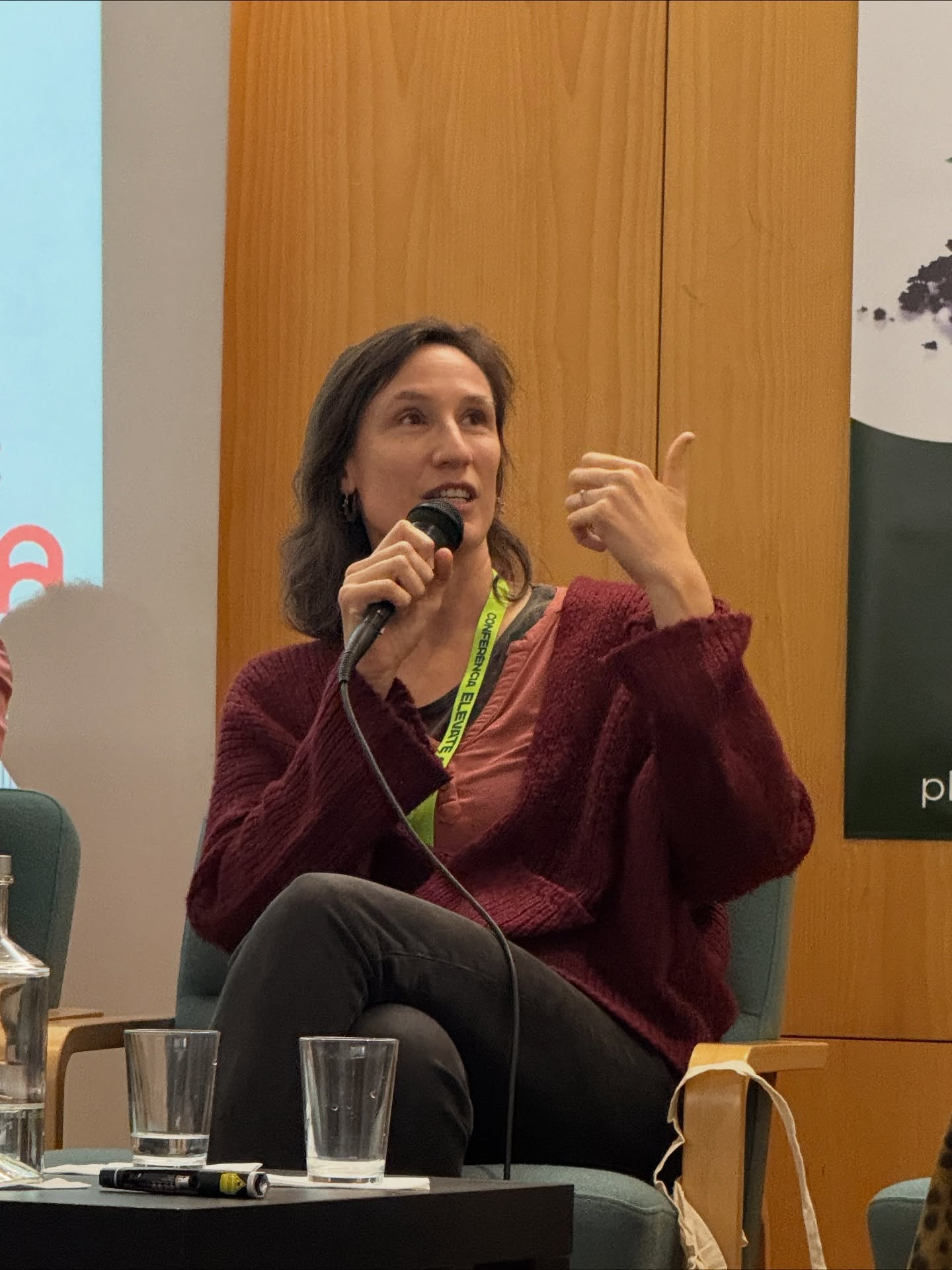 Júlia Ferreira Rebelo